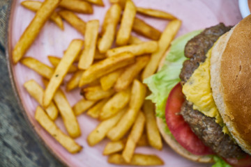 Cheeseburger with french fries