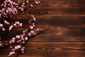 Obraz na płótnie Canvas Peach blossom on old wooden background. Fruit flowers.