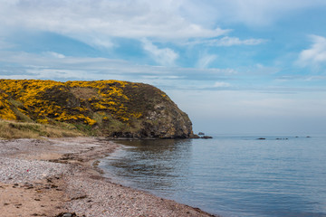 Scottish Highlands Cliff