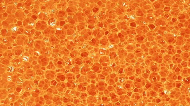 Close up of orange foam sponge as background