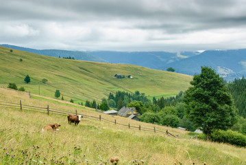 Rural mountain landscape in Ukrainian Carpathians