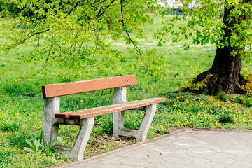 Old bench at alley in spring time season