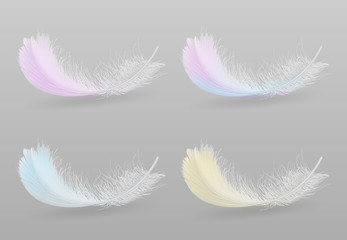 Flying or falling down exotic bird colorful, fluffy feathers 3d realistic vector set isolated on grey background with shadow. Softness, fragility and tenderness concept design elements collection