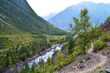 Mountain Altai. The valley of the river Chulcha