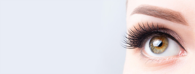 Eyelash lamination, extensions, microblading, tattoo, permanent, cosmetology, ophthalmology banner or background. Eye with long eyelashes, beautiful makeup and light brown eyebrow