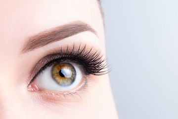 Eye with long eyelashes, beautiful makeup and light brown eyebrow close-up. Eyelash extensions,...