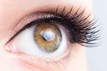 Eye with long eyelashes close-up. Eyelash lamination, extensions, cosmetology, ophthalmology concept