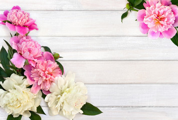 Frame of pink and white peonies on background of white painted wooden planks with space for text. Top view, flat lay