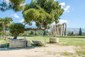 Temple of the Zeus at Athens