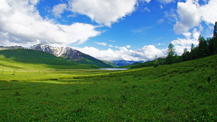 Altai mountains and fields
