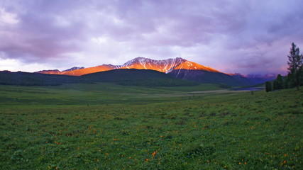 Altai mountains and fields