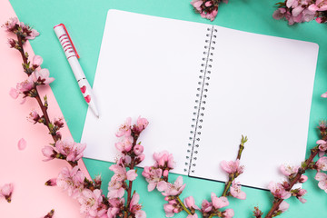 mock up notebook and sprigs of the apricot tree with flowers on pastel colour background . Place for text. The concept of spring came, happy easter, mother's day.Top view.Flay lay.