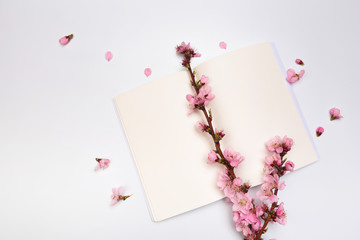 mock up notebook and sprigs of the apricot tree with flowers on white background . Place for text. The concept of spring came, happy easter, mother's day.Top view.Flay lay.