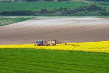 agricuteur travaillant dans les champs de colza en fleur