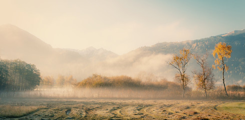 landscape with fog in the morning, at the meadow