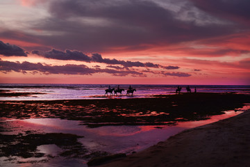 Obraz premium Tourists riding horses and enjoy a spectacular sunset on the island of Gili Trawangan Lombok Indonesia