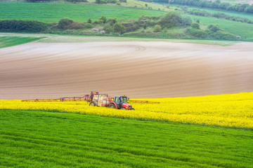 agricuteur travaillant dans les champs de colza en fleur