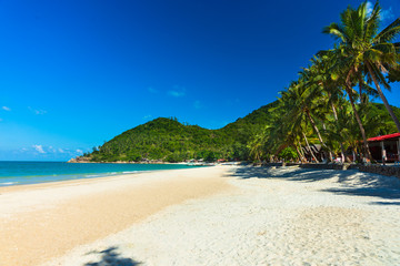 Obraz na płótnie Canvas View of nice tropical beach with palm tree. Holiday and vacation concept.