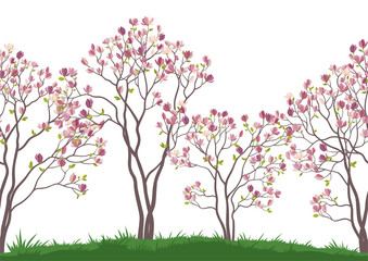 Horizontal Seamless Landscape, Spring Magnolia Trees with Pink Flowers and Green Leaves on Green Grass. Vector