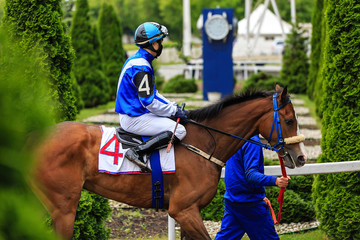 horse racing jockey and his horse ready to start, the horse leads the reins in blue uniform
