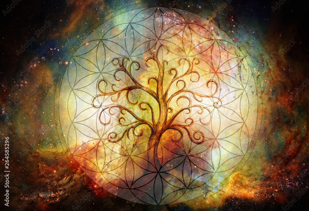 Poster tree of life symbol and flower of life and space background, yggdrasil.
