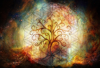 Fototapeta premium tree of life symbol and flower of life and space background, yggdrasil.
