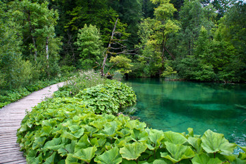 Plitvice Lakes - Waterfall nature croatia water plitvize lake
