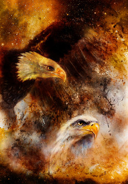 beautiful painting of two eaglesin cosmic space.