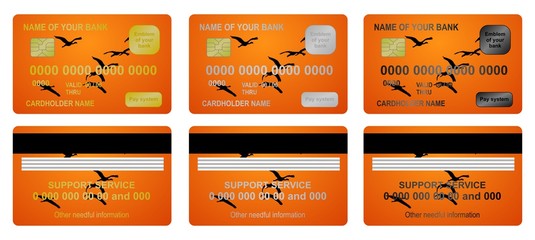 Bank card birds in sky on sunrise