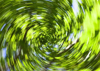 Blurry spinning view from the bottom of trees, green leaves with a spiral movement effect and...