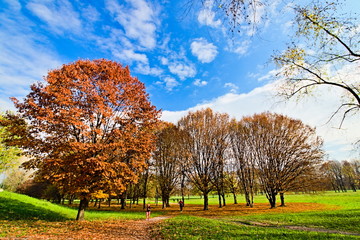 Pellerina park in Turin, Piedmont, Italy, in autumn season