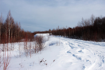 winter mountain landscape with a road and trees