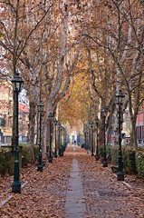Turin, Piedmont, Italy - December 12 2018: Catania Street is a beautiful street in the Borgo Rossini district of Turin, crossed by a pedestrian alley lined with trees and benches