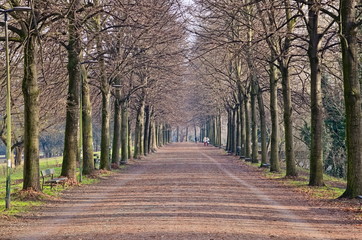 Turin, Piedmont, Italy - December 12 2018: Colletta Park is one of the biggest urban park in the city of Turin, between the rivers Dora and Po, crossed by pedestrian and cycle paths