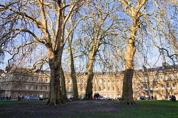 Fototapeta na wymiar Bath, Somerset, England - December 23, 2018: Afternoon view of The Circus, a historic street of large townhouses, forming a circle with three entrances with a tree-lined garden in the middle