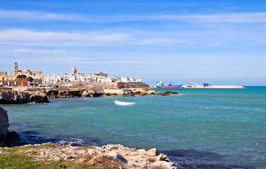 Fototapeta na wymiar Panorama on Monopoli old town, that lies on the Adriatic Sea at southeast of Bari, Apulia, Italy. Bay with rocks and rough sea in a winter sunny morning