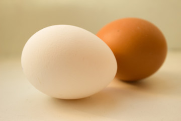 Two eggs on white background in warm colors