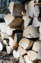 Holzstapel, Nahaufnahme im Sonnenlicht