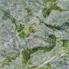 Fototapeta na wymiar moss on stone texture