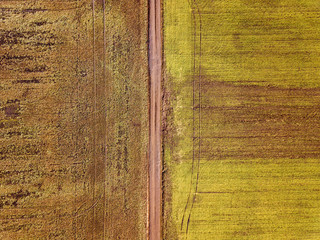 Agricultural landscape from air. Straight narrow ground road between sunny green and brown fields.