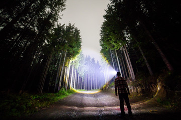 Back view of man with head flashlight standing on forest ground road among tall brightly illuminated spruce trees under beautiful dark blue sky. Night wood landscape and adventure. - obrazy, fototapety, plakaty