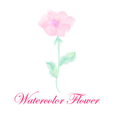 Vector Watercolor Flower.