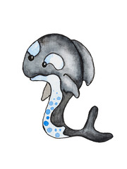 Cute orka © Elena Schweitzer