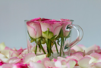 delicate beautiful roses in a transparent container and rose petals