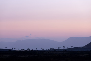 Sunrise over palm trees