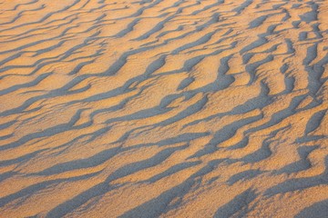 Sandy surface, shore.