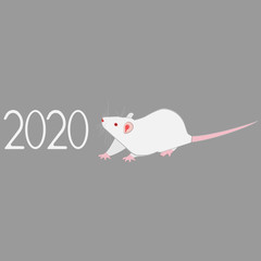 The rat is the symbol of the new year 2020