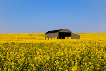 Dutch Barn Sixpenny Handley