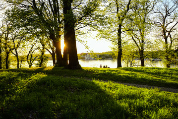 Sommer im Park Babelsberg