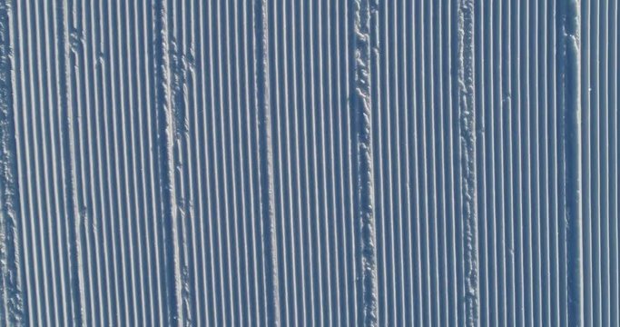 Flying over the ski slope on a frosty sunny day. Ski velvet, snow sparkles. Smooth parallel lines texture. 4K drone footage